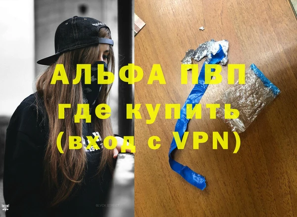 индика Каменногорск