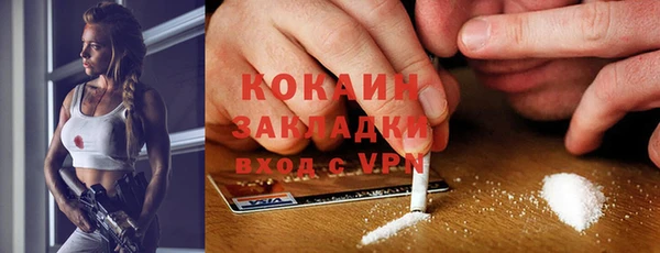 индика Каменногорск