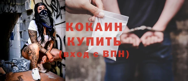 индика Каменногорск