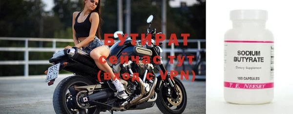 индика Каменногорск