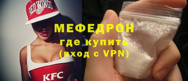 индика Каменногорск
