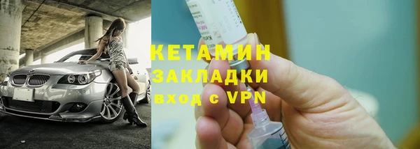индика Каменногорск