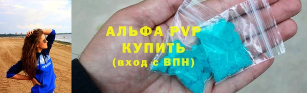 индика Каменногорск