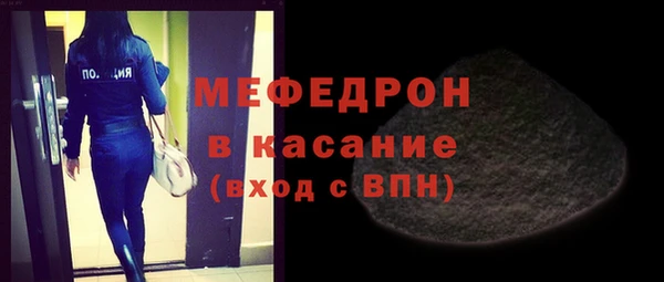 индика Каменногорск