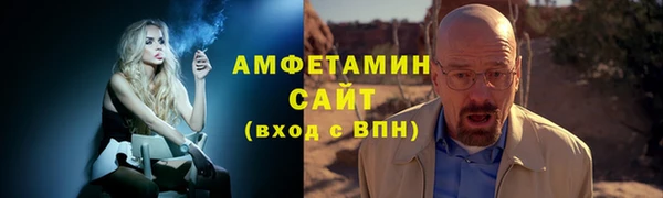 индика Каменногорск