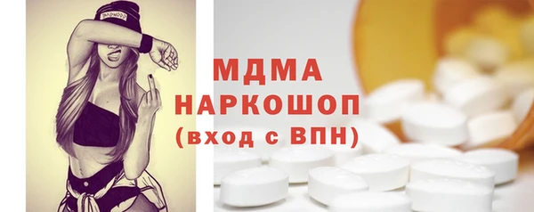 индика Каменногорск