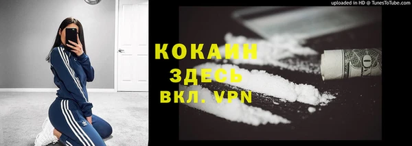 индика Каменногорск