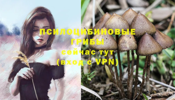 метадон Каменск-Шахтинский