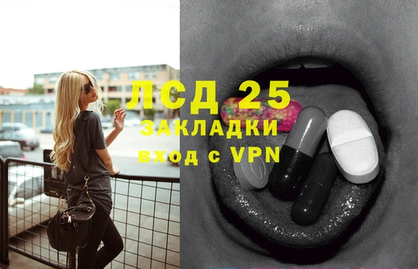 индика Каменногорск