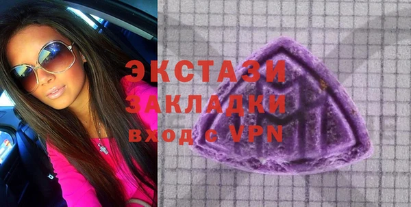 индика Каменногорск