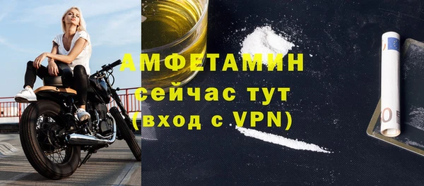 индика Каменногорск