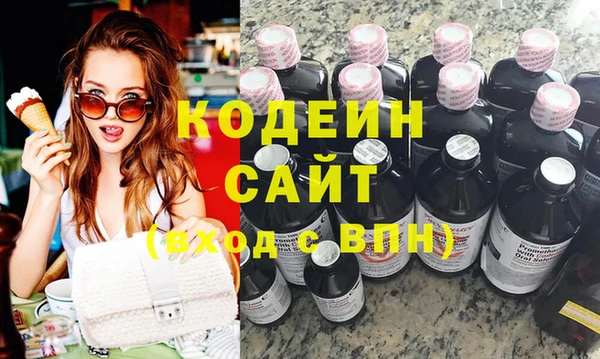 индика Каменногорск