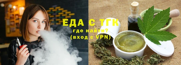 индика Каменногорск