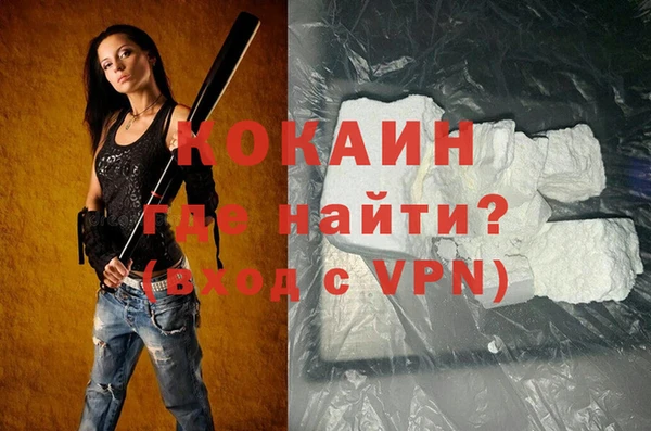 индика Каменногорск